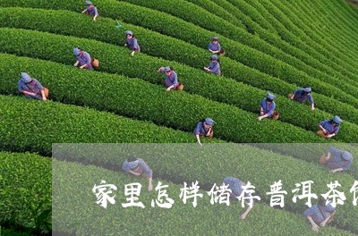 家里怎样储存普洱茶饼/2023062553926