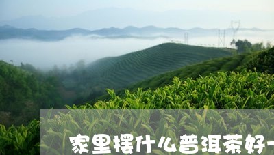 家里摆什么普洱茶好一点/2023081412626