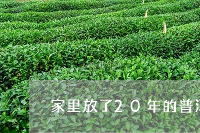 家里放了20年的普洱茶还能喝吗/2023060218254