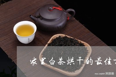 家里白茶烘干的最佳方法/2023102478393