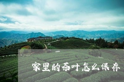 家里的茶叶怎么保存/2023042526159