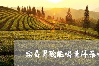 容易胃酸能喝普洱茶吗/2023073144068