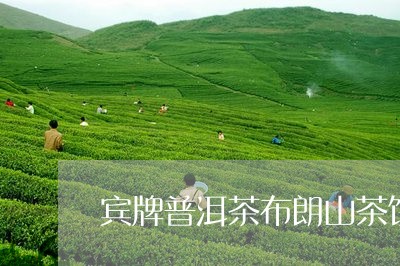 宾牌普洱茶布朗山茶饼/2023092845280