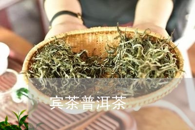 宾茶普洱茶/2023102579460