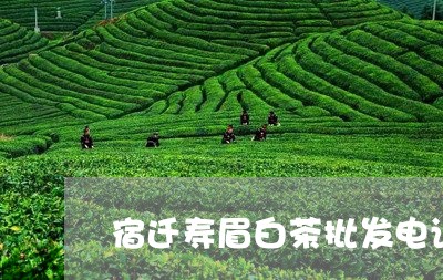 宿迁寿眉白茶批发电话/2023093046405