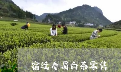 宿迁寿眉白茶零售/2023090810591