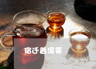 宿迁普洱茶/2023090547261