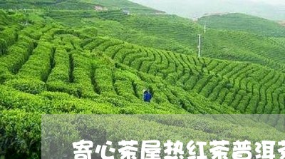 寄心茶屋热红茶普洱茶/2023082768370