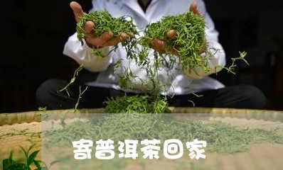 寄普洱茶回家/2023042718545