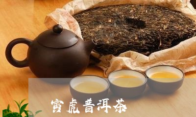 寅虎普洱茶/2023090527040