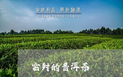 密封的普洱茶/2023042721162