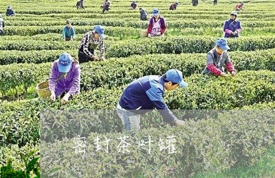 密封茶叶罐/2023041793105