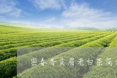 密春香贡眉老白茶简介/2023092157493