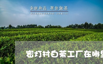 密灯村白茶工厂在哪里/2023093024237