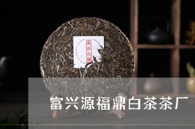 富兴源福鼎白茶茶厂/2023120325057