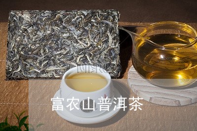 富农山普洱茶/2023042735215