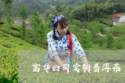 富华公司定制普洱茶/2023071197059