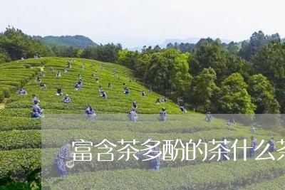 富含茶多酚的茶什么茶多酚含量高/2023060282915