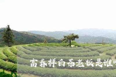 富春祥白茶老板是谁呀百度百科/2023111419574