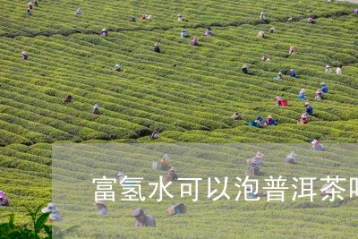 富氢水可以泡普洱茶吗/2023072399513