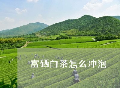 富硒白茶怎么冲泡/2023061870493