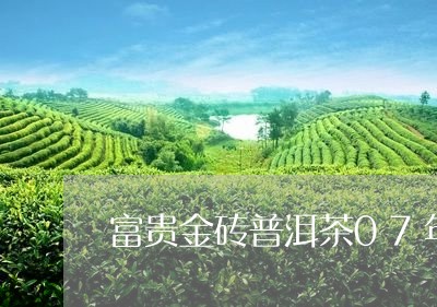 富贵金砖普洱茶07年/2023062720492