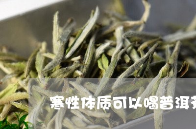 寒性体质可以喝普洱茶/2023092822503