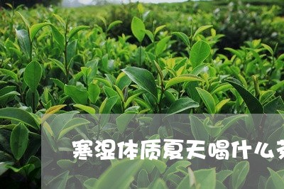 寒湿体质夏天喝什么茶/2023071472805