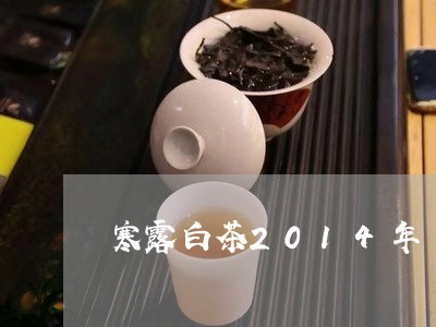 寒露白茶2014年/2023071347371