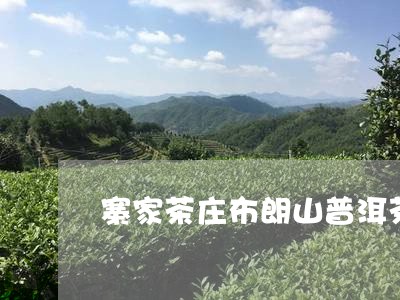 寨家茶庄布朗山普洱茶/2023092968491