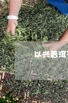 寳以兴普洱茶/2023042920358