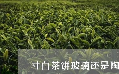 寸白茶饼玻璃还是陶瓷/2023093036259