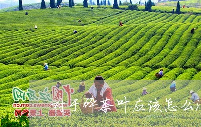 对于碎茶叶应该怎么泡/2023092326379