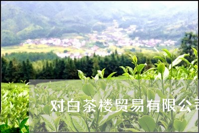 对白茶楼贸易有限公司/2023093011704