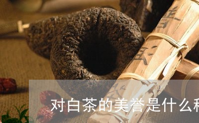 对白茶的美誉是什么称号/2023102450470