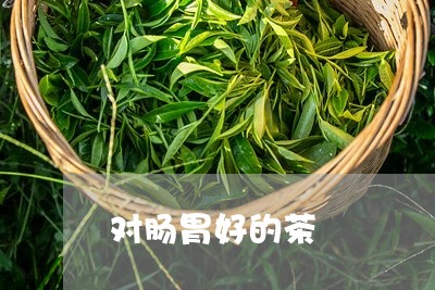 对肠胃好的茶/2023042919763