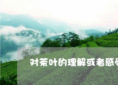 对茶叶的理解或者感受/2023092370736