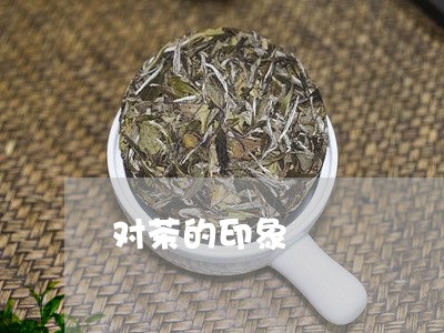 对茶的印象/2023090286370