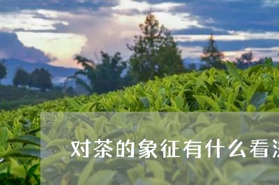 对茶的象征有什么看法/2023071579260