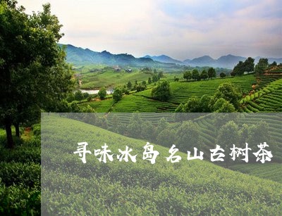 寻味冰岛名山古树茶/2023042682027