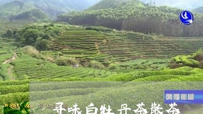 寻味白牡丹茶散茶/2023090647250