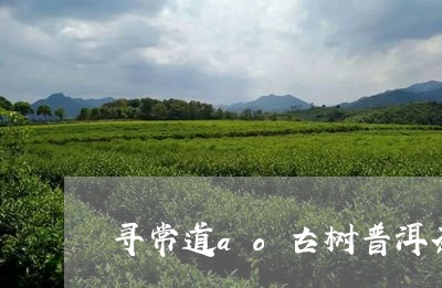 寻常道ao古树普洱茶/2023092818505