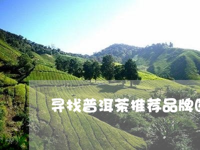 寻找普洱茶推荐品牌图片/2023101747269