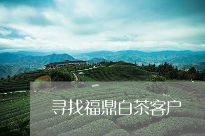 寻找福鼎白茶客户/2023061849271