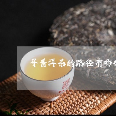 寻普洱茶的路径有哪些/2023112482915