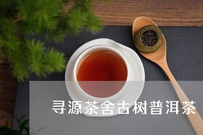 寻源茶舍古树普洱茶/2023120536164