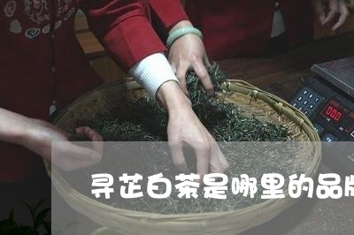 寻芷白茶是哪里的品牌/2023093026047