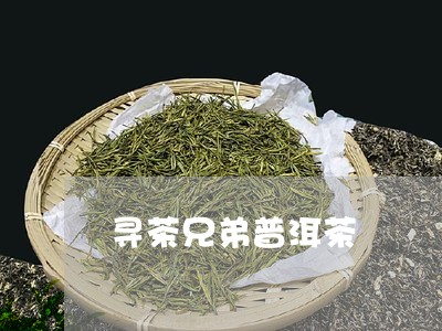 寻茶兄弟普洱茶/2023120343804