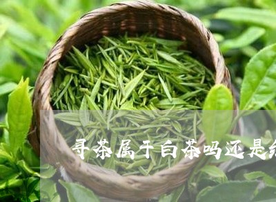 寻茶属于白茶吗还是红茶/2023102434938