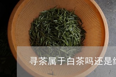 寻茶属于白茶吗还是绿茶/2023102482724